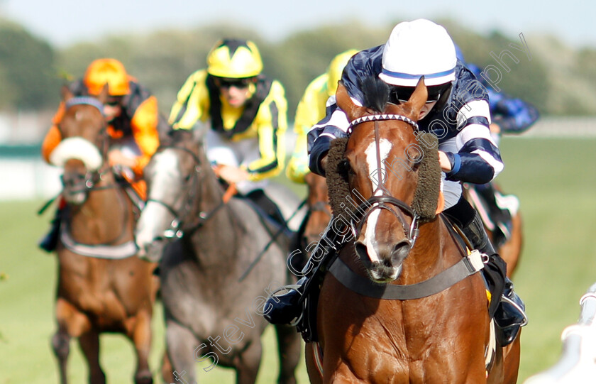 Misu-Pete-0003 
 MISU PETE (Darragh Keenan) wins The Mobile Pimm's Bars Apprentice Handicap
Newbury 17 Aug 2018 - Pic Steven Cargill / Racingfotos.com