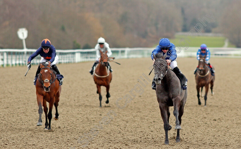 Broderie-0006 
 BRODERIE (Tom Marquand) beats CRAVING (left) in The 32Red Casino Novice Stakes Lingfield 2 Feb 2018 - Pic Steven Cargill / Racingfotos.com