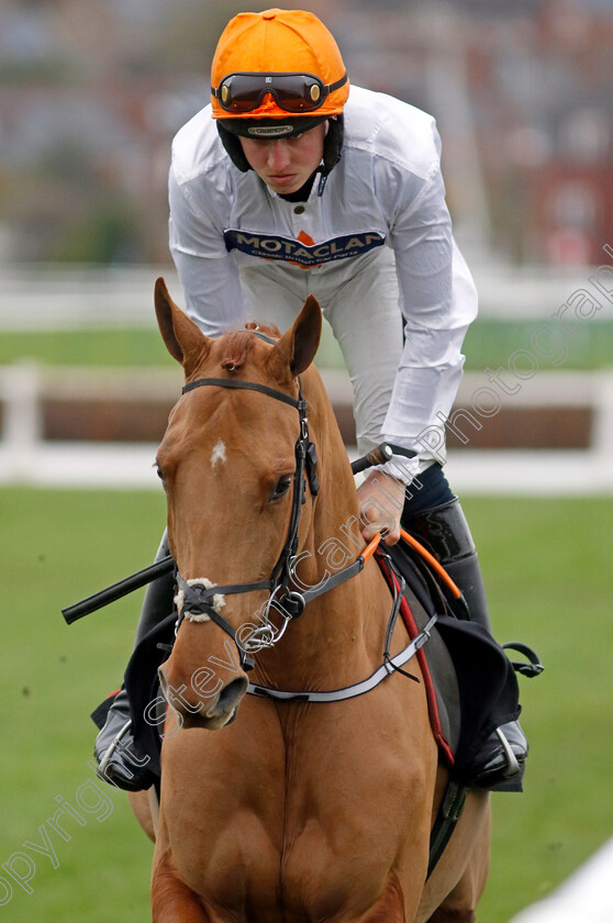 Heard-That-0001 
 HEARD THAT (Lewis Stones)
Warwick 22 Nov 2023 - Pic Steven Cargill / Racingfotos.com