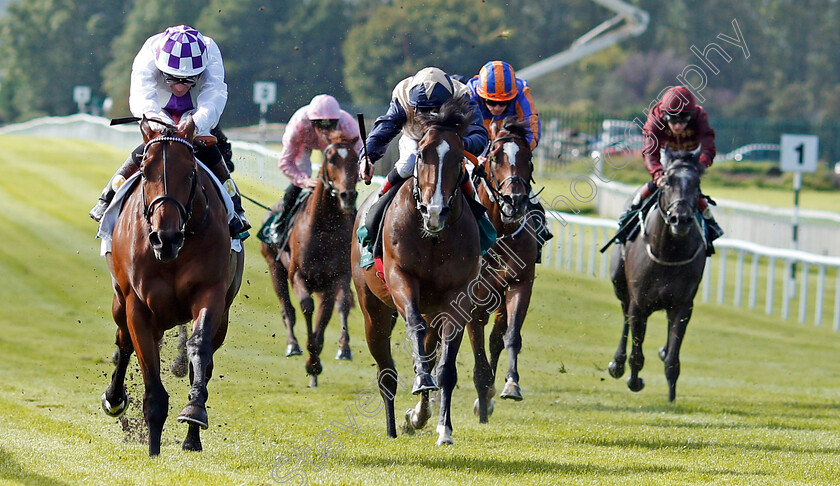 Verbal-Dexterity-0002 
 VERBAL DEXTERITY (Kevin Manning) beats BECKFORD (centre) in The Goffs Vincent O'Brien National Stakes Curragh 10 Sep 2017 - Pic Steven Cargill / Racingfotos.com