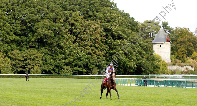 Angel-Bleu-0008 
 ANGEL BLEU (Frankie Dettori) winner of The Qatar Prix Jean-Luc Lagardere
Longchamp 3 Oct 2021 - Pic Steven Cargill / Racingfotos.com