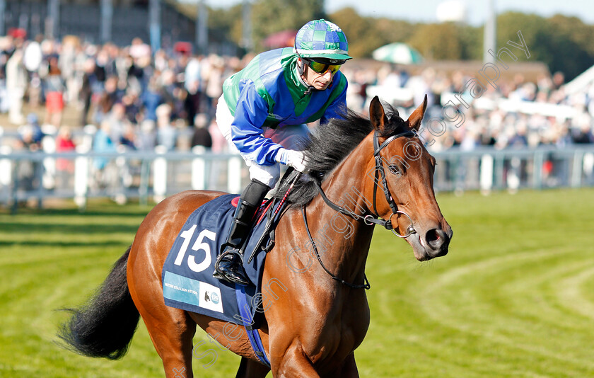 Snapraeceps-0001 
 SNAPRAECEPS (Gerald Mosse)
Yarmouth 18 Sep 2019 - Pic Steven Cargill / Racingfotos.com