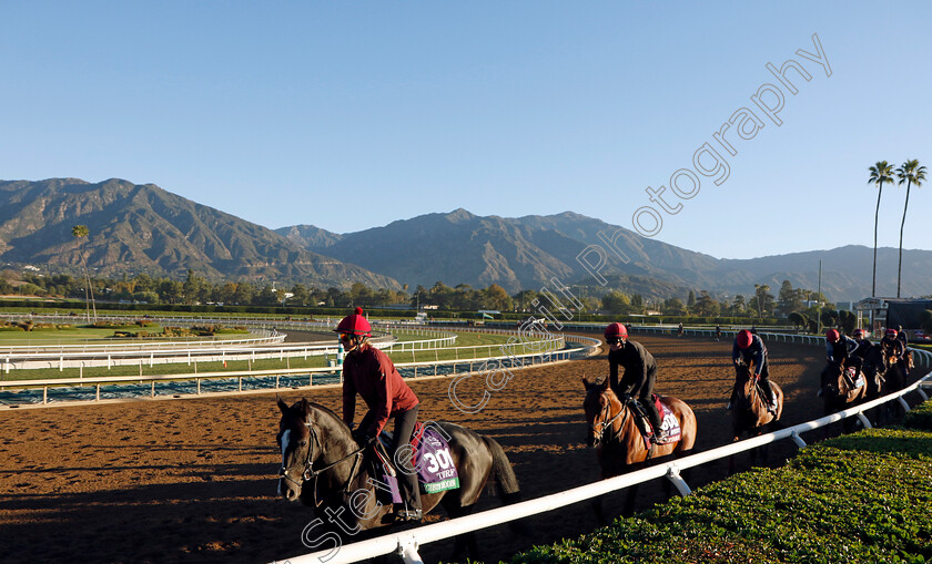 Auguste-Rodin-0001 
 AUGUSTE RODIN training at the Breeders' Cup
Santa Anita 2 Nov 2023 - Pic Steven Cargill / Racingfotos.com