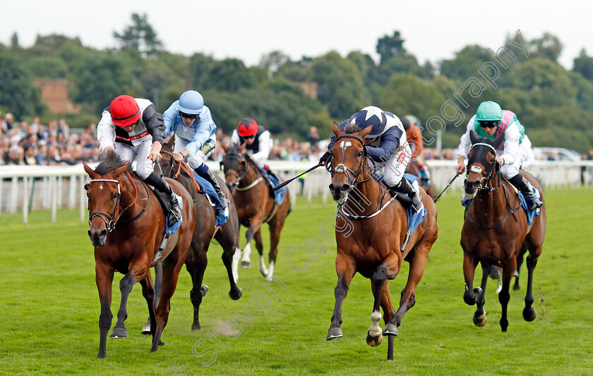 Forbearance-0002 
 FORBEARANCE (right, Hollie Doyle) beats DOMINO DARLING (left) in The British EBF & Sir Henry Cecil Galtres Stakes
York 19 Aug 2021 - Pic Steven Cargill / Racingfotos.com