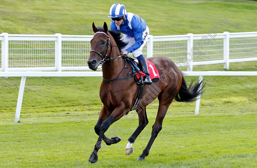 Alrajaa-0001 
 ALRAJAA (Jim Crowley)
Sandown 31 Aug 2018 - Pic Steven Cargill / Racingfotos.com