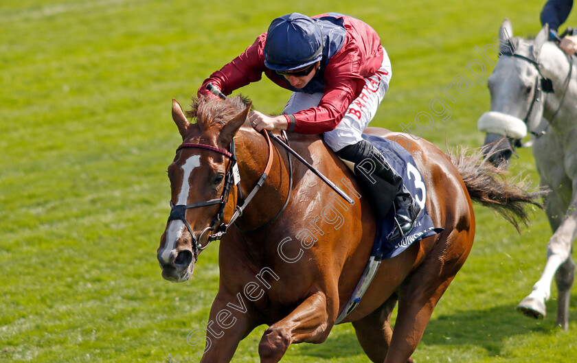 Lilac-Road-0006 
 LILAC ROAD (Tom Marquand) wins The Al Basti Equiworld Dubai Middleton Fillies Stakes
York 12 May 2022 - Pic Steven Cargill / Racingfotos.com