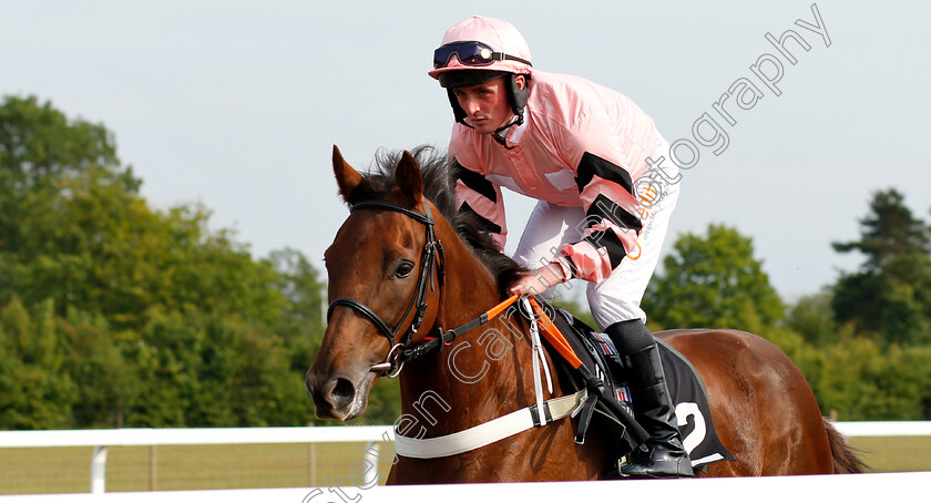 Jumbo-Vee-0001 
 JUMBO VEE (Harrison Shaw)
Chelmsford 13 Jun 2018 - Pic Steven Cargill / Racingfotos.com