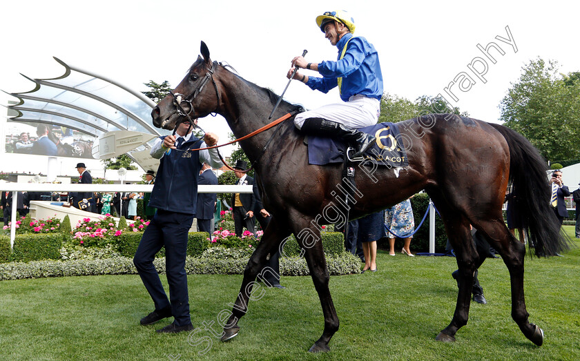 Poet s-Word-0012 
 POET'S WORD (James Doyle) after The Prince Of Wales's Stakes 
Royal Ascot 20 Jun 2018 - Pic Steven Cargill / Racingfotos.com