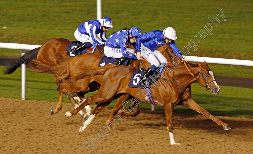 Untold-Story-0004 
 UNTOLD STORY (Callum Shepherd) wins The Betway Novice Stakes
Wolverhampton 5 Dec 2020 - Pic Steven Cargill / Racingfotos.com