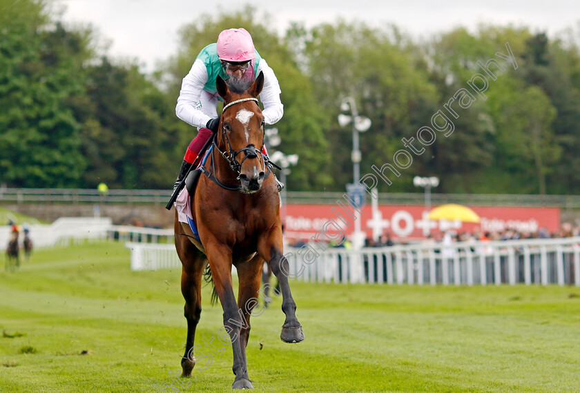 Arrest-0004 
 ARREST (Frankie Dettori) wins The Boodles Chester Vase
Chester 10 May 2023 - Pic Steven Cargill / Racingfotos.com