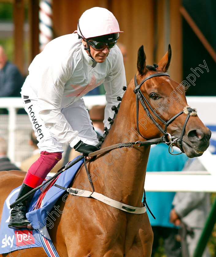 Absurde-0012 
 ABSURDE (Frankie Dettori) winner of The Sky Bet Ebor
York 26 Aug 2023 - Pic Steven Cargill / Racingfotos.com