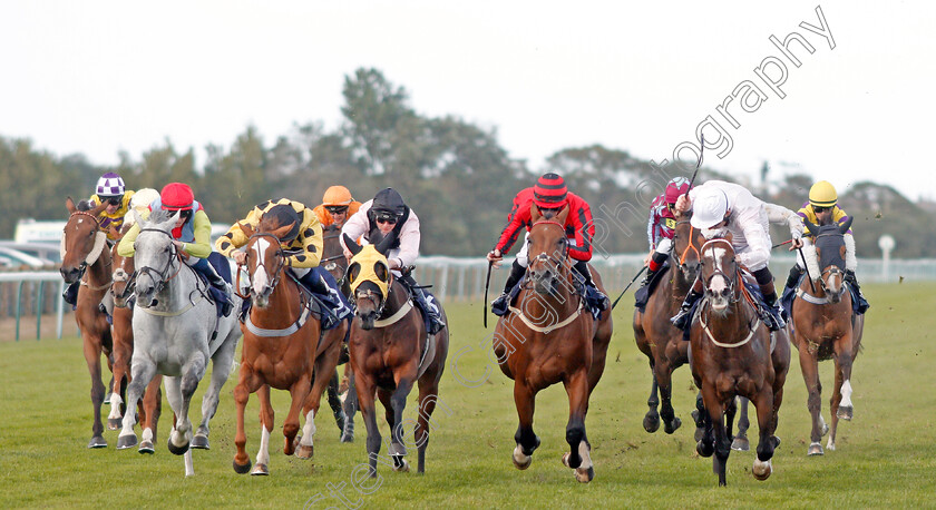 Minnelli-0001 
 MINNELLI (3rd left, Tom Marquand) beats SEA OF MYSTERY (centre) in The La Continental Cafe Of Great Yarmouth Handicap
Yarmouth 17 Sep 2019 - Pic Steven Cargill / Racingfotos.com