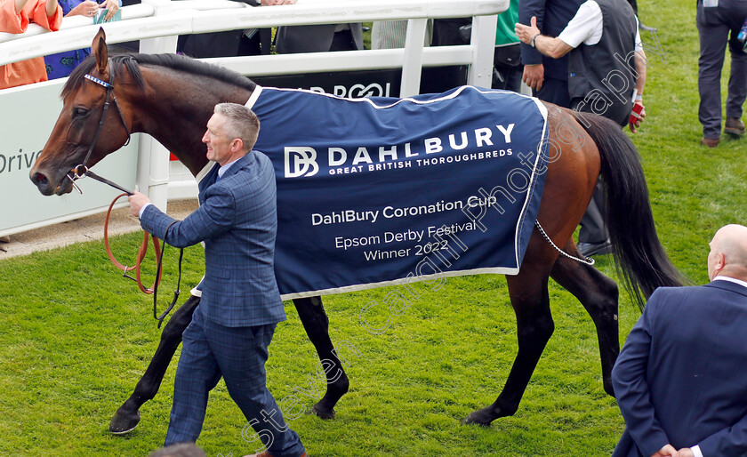 Hukum-0012 
 HUKUM after The Dahlbury Coronation Cup
Epsom 3 Jun 2022 - Pic Steven Cargill / Racingfotos.com