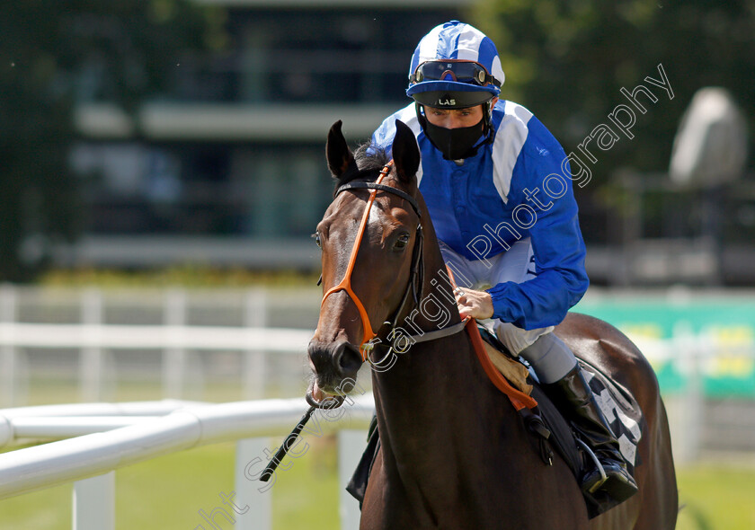 El-Darooj-0001 
 EL DAROOJ (Dane O'Neill)
Newbury 16 Jul 2021 - Pic Steven Cargill / Racingfotos.com