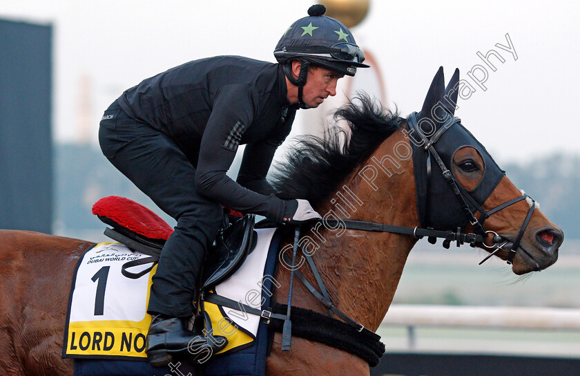 Lord-North-0003 
 LORD NORTH training for the Dubai Turf
Meydan, Dubai, 22 Mar 2022 - Pic Steven Cargill / Racingfotos.com