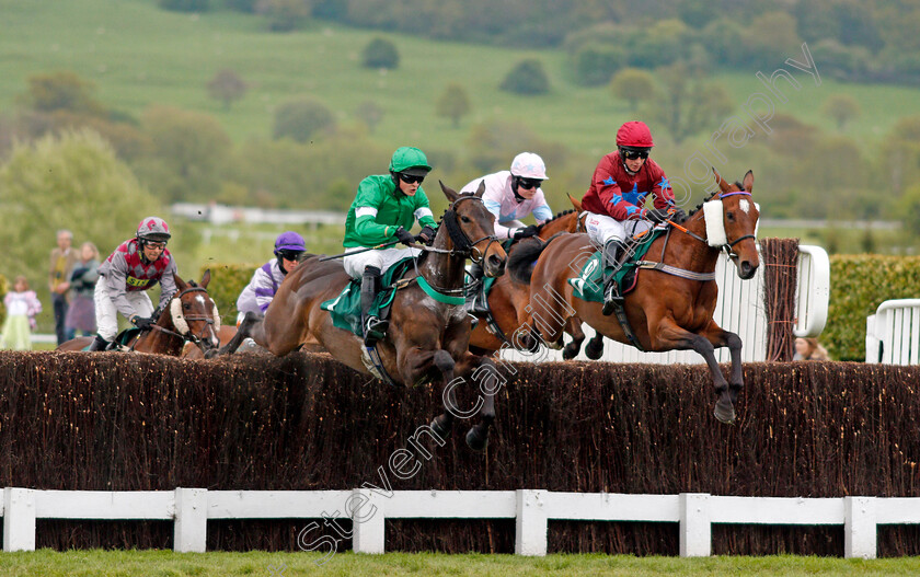 Abricot-De-L Oasis-0001 
 ABRICOT DE L'OASIS (centre, Frederick Henderson) jumps with ASOCKASTAR (right, Bradley Gibbs) Cheltenham 4 May 2018 - Pic Steven Cargill / Racingfotos.com