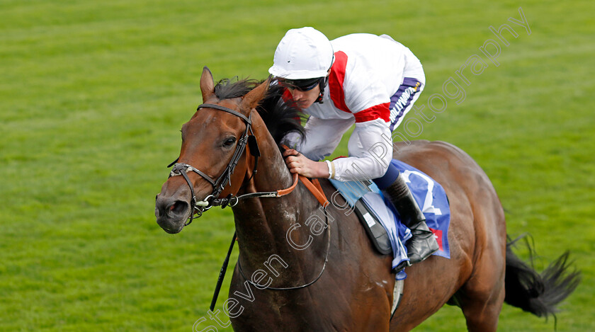 Deauville-Legend-0006 
 DEAUVILLE LEGEND (Daniel Muscutt) wins The Sky Bet Great Voltigeur Stakes
York 17 Aug 2022 - Pic Steven Cargill / Racingfotos.com