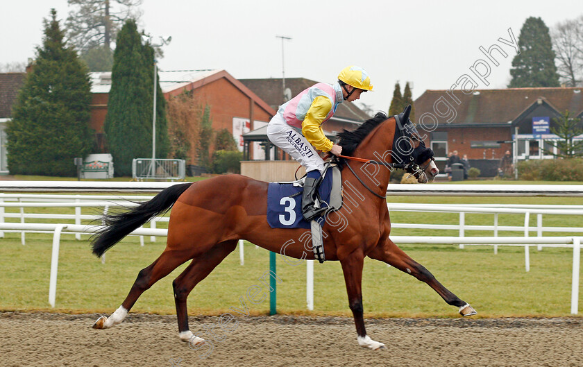 Mewtow-0001 
 MEWTOW (Oisin Murphy) winner of The 32Red.com EBF Novice Stakes Div2 Lingfield 20 Dec 2017 - Pic Steven Cargill / Racingfotos.com