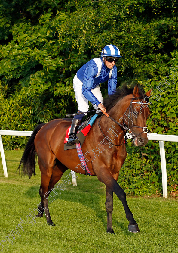 Hukum-0008 
 HUKUM (Jim Crowley) winner of The Racehorse Lotto Brigadier Gerard Stakes
Sandown 25 May 2023 - Pic Steven Cargill / Racingfotos.com