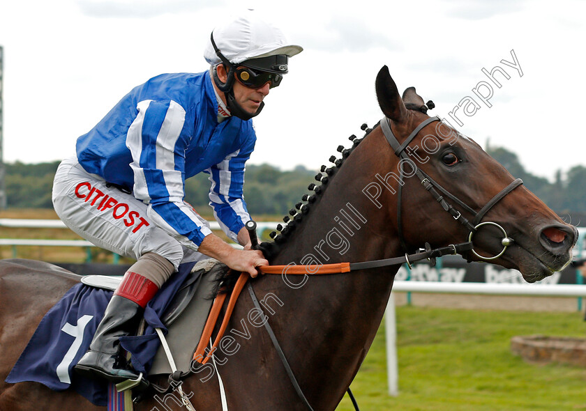 King-Zain-0006 
 KING ZAIN (Franny Norton) wins The Betway EBF Novice Stakes
Lingfield 7 Sep 2020 - Pic Steven Cargill / Racingfotos.com