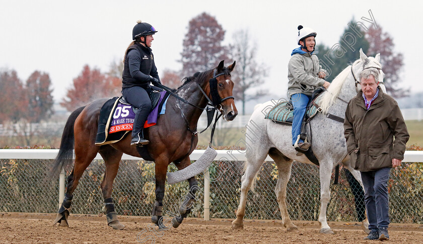 Mise-En-Scene-0001 
 MISE EN SCENE training for the Breeders' Cup Filly & Mare Turf
Keeneland USA 2 Nov 2022 - Pic Steven Cargill / Racingfotos.com