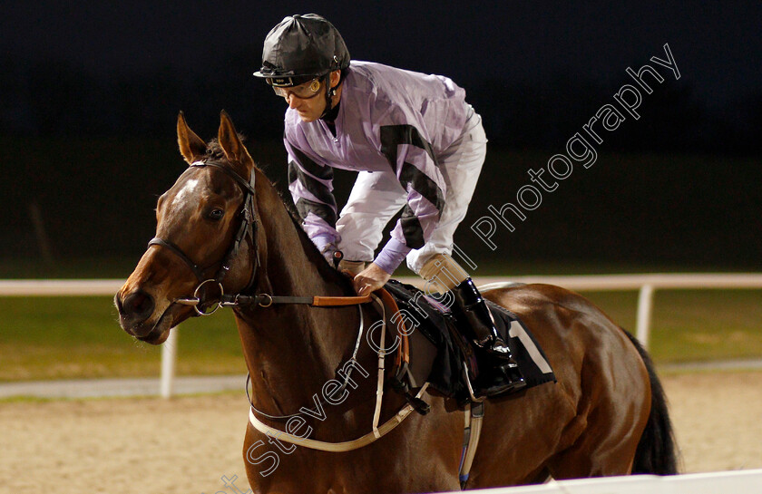 Asdaa-0001 
 ASDAA (Joe Fanning) winner of The Bet toteexacta At totesport.com Handicap
Chelmsford 11 Jan 2020 - Pic Steven Cargill / Racingfotos.com