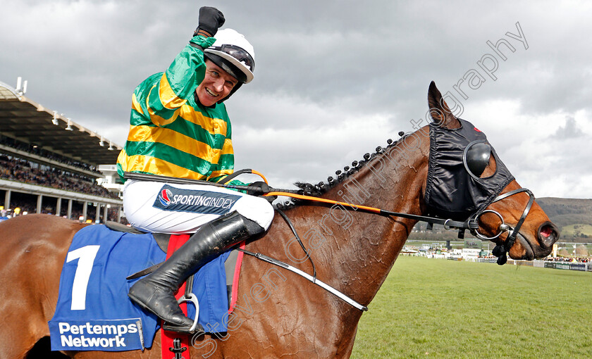 Sire-Du-Berlais-0010 
 SIRE DU BERLAIS (Barry Geraghty) after The Pertemps Network Final Handicap Hurdle
Cheltenham 12 Mar 2020 - Pic Steven Cargill / Racingfotos.com