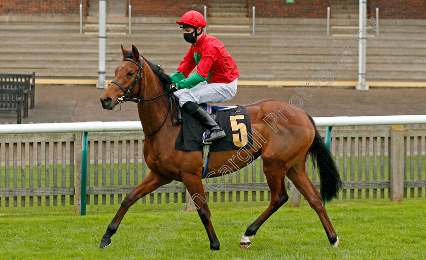 Honey-Pot-0001 
 HONEY POT (Charles Bishop)
Newmarket 31 Oct 2020 - Pic Steven Cargill / Racingfotos.com