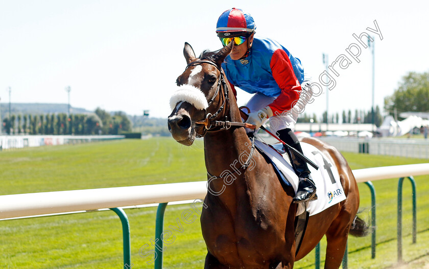 Dannsa-Flora-0002 
 DANNSA FLORA (Gerald Mosse)
Deauville 7 Aug 2022 - Pic Steven Cargill / Racingfotos.com