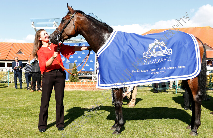 Beshaayir-0007 
 BESHAAYIR after The Muhaarar EBF Rosemary Stakes
Newmarket 28 Sep 2018 - Pic Steven Cargill / Racingfotos.com