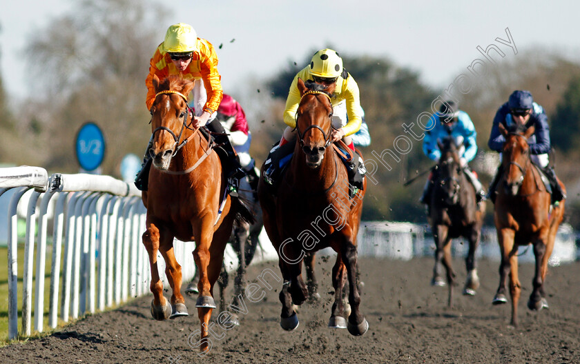 Sleeping-Lion-0005 
 SLEEPING LION (left, Kieran Shoemark) beats POSTILEO (centre) in The Unibet 15 To Go Queen's Prize Handicap
Kempton 5 Apr 2021 - Pic Steven Cargill / Racingfotos.com