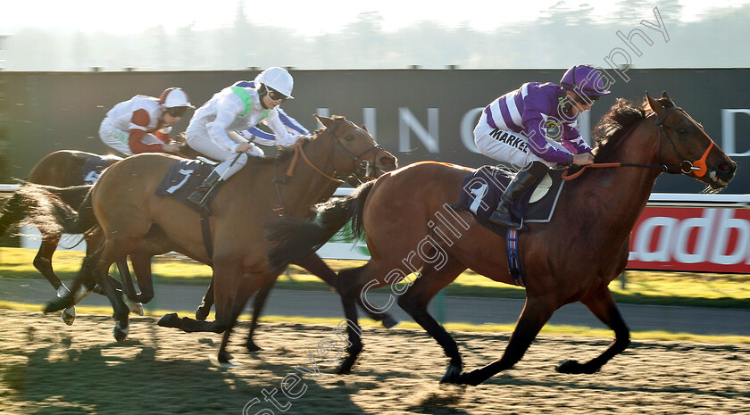 Oh-This-Is-Us-0001 
 OH THIS IS US (Tom Marquand) wins The Follow Sun Racing On Twitter Handicap
Lingfield 23 Feb 2019 - Pic Steven Cargill / Racingfotos.com