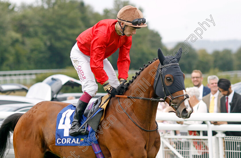 Imperial-Fighter-0001 
 IMPERIAL FIGHTER (Oisin Murphy)
Goodwood 1 Aug 2023 - Pic Steven Cargill / Racingfotos.com