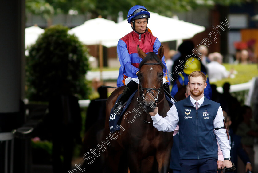 Hans-Andersen-0001 
 HANS ANDERSEN (Sean Levey)
Ascot 27 Jul 2024 - Pic Steven Cargill / Racingfotos.com