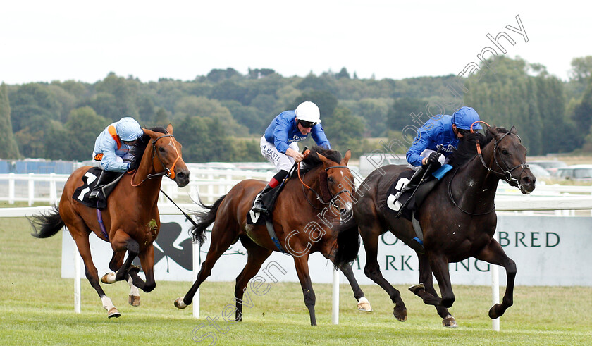 Hamada-0002 
 HAMADA (James Doyle) beats WALTON STREET (centre) and RAYMOND TUSK (left) in The Irish Thoroughbred Marketing Geoffrey Freer Stakes
Newbury 18 Aug 2018 - Pic Steven Cargill / Racingfotos.com