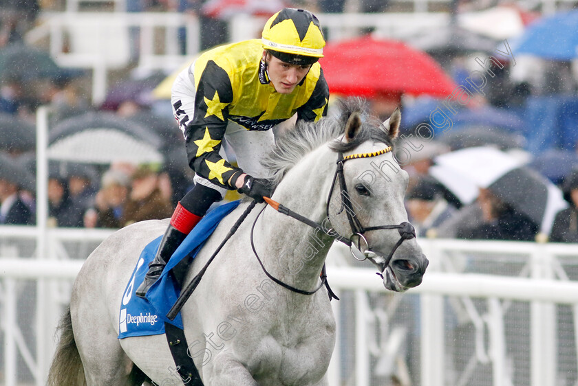 Shadow-Dance-0002 
 SHADOW DANCE (David Egan)
Chester 10 May 2023 - pic Steven Cargill / Racingfotos.com