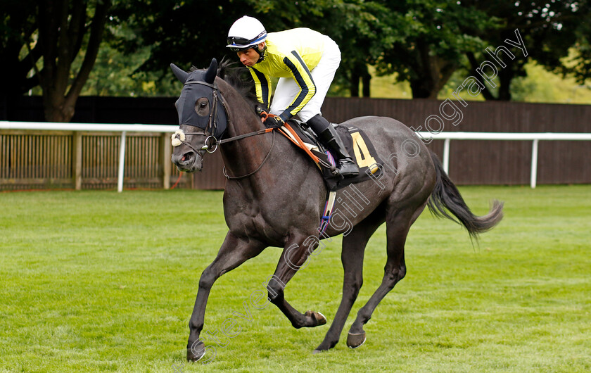 Heritage-House-0001 
 HERITAGE HOUSE (Sean Levey)
Newmarket 13 Jul 2024 - Pic Steven Cargill / Racingfotos.com