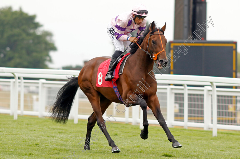 Manifested 
 MANIFESTED (Sean Levey)
Sandown 21 Jul 2022 - Pic Steven Cargill / Racingfotos.com