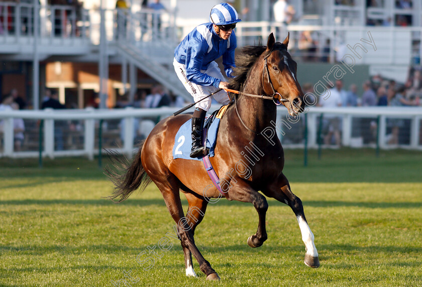 Alhaazm-0001 
 ALHAAZM (Jim Crowley)
Nottingham 20 Apr 2019 - Pic Steven Cargill / Racingfotos.com