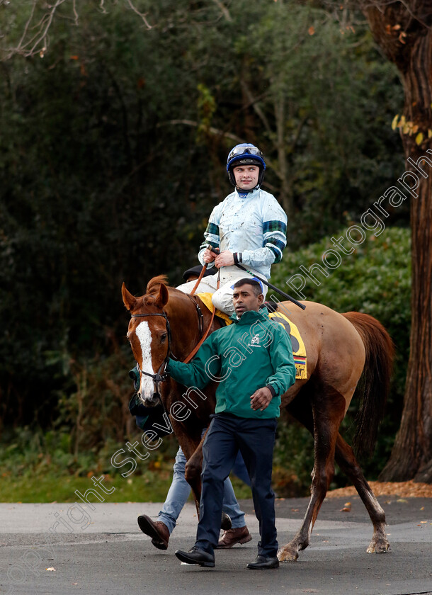 Not-So-Sleepy-0006 
 NOT SO SLEEPY (Sean Bowen) winner of The Betfair Fighting Fifth Hurdle
Sandown 9 Dec 2023 - Pic Steven Cargill / Racingfotos.com