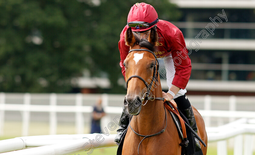 Electress-0002 
 ELECTRESS (Rossa Ryan)
Newbury 13 Aug 2021 - Pic Steven Cargill / Racingfotos.com