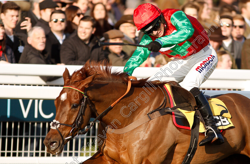 Quel-Destin-0008 
 QUEL DESTIN (Harry Cobden) wins The JCB Triumph Trial Juvenile Hurdle
Cheltenham 17 Nov 2018 - Pic Steven Cargill / Racingfotos.com