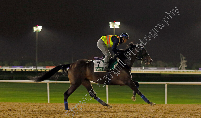 Stars-On-Earth-0001 
 STARS ON EARTH training for The Sheema Classic
Meydan Dubai 26 Mar 2024 - Pic Steven Cargill / Racingfotos.com