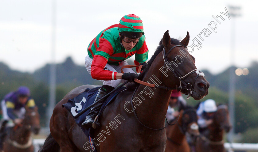 Aljari-0007 
 ALJARI (Luke Morris) wins The Wolverhampton Holiday Inn Novice Stakes
Wolverhampton 17 Jul 2019 - Pic Steven Cargill / Racingfotos.com