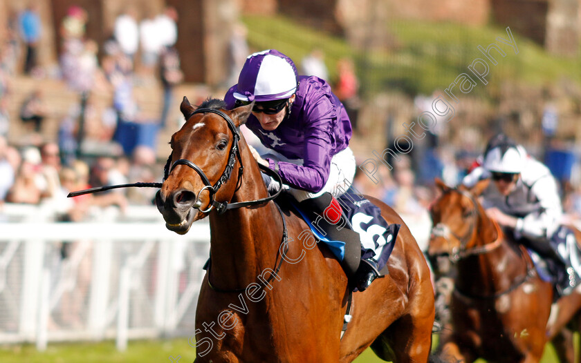 Tony-Montana-0003 
 TONY MONTANA (David Egan) wins The Precision Facades Handicap
Chester 9 May 2024 - Pic Steven Cargill / Racingfotos.com