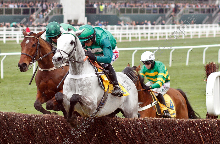 Terrefort-0001 
 TERREFORT (Daryl Jacob)
Cheltenham 14 Mar 2019 - Pic Steven Cargill / Racingfotos.com