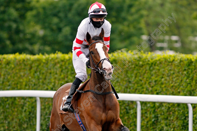 Shadow-Angel-0001 
 SHADOW ANGEL (Liam Keniry)
Kempton 2 Jun 2021 - Pic Steven Cargill / Racingfotos.com