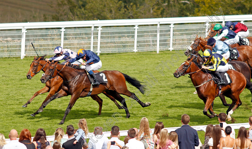 Ndaawi-0005 
 NDAAWI (William Buick) beats NIGHT LIFE (farside) in The William Hill EBF Restricted Maiden Stakes
Goodwood 28 Aug 2022 - Pic Steven Cargill / Racingfotos.com