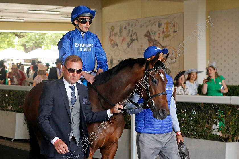 Age-Of-Gold-0001 
 AGE OF GOLD (William Buick)
Royal Ascot 22 Jun 2024 - Pic Steven Cargill / Racingfotos.com