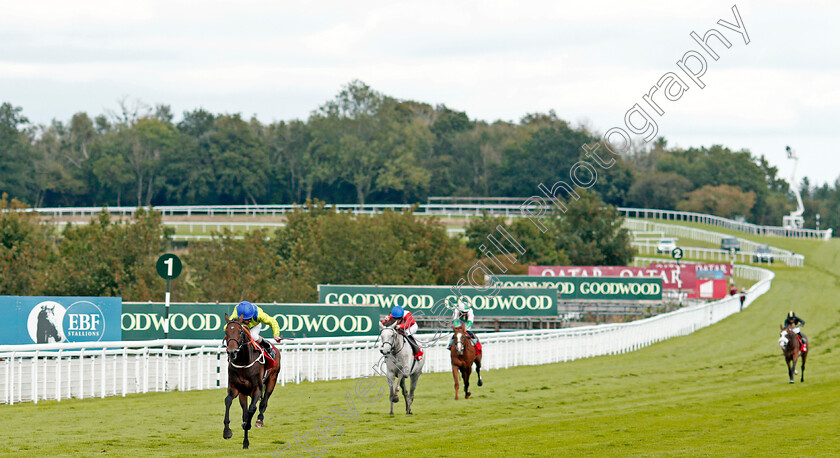 Subjectivist-0003 
 SUBJECTIVIST (Joe Fanning) wins The Ladbrokes March Stakes
Goodwood 29 Aug 2020 - Pic Steven Cargill / Racingfotos.com